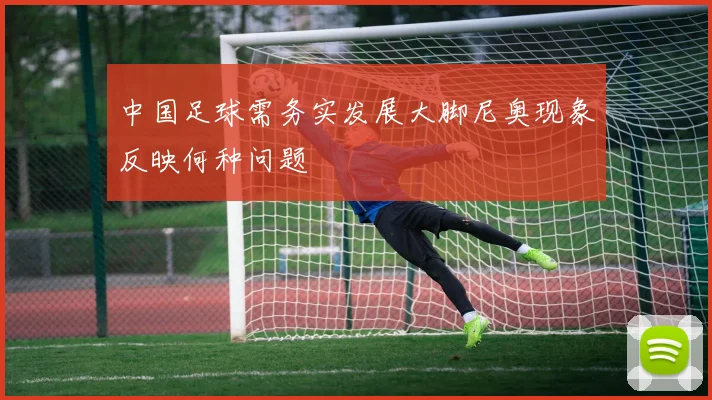 中国足球需务实发展大脚尼奥现象反映何种问题