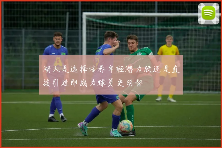 湖人是选择培养年轻潜力股还是直接引进即战力球员更明智